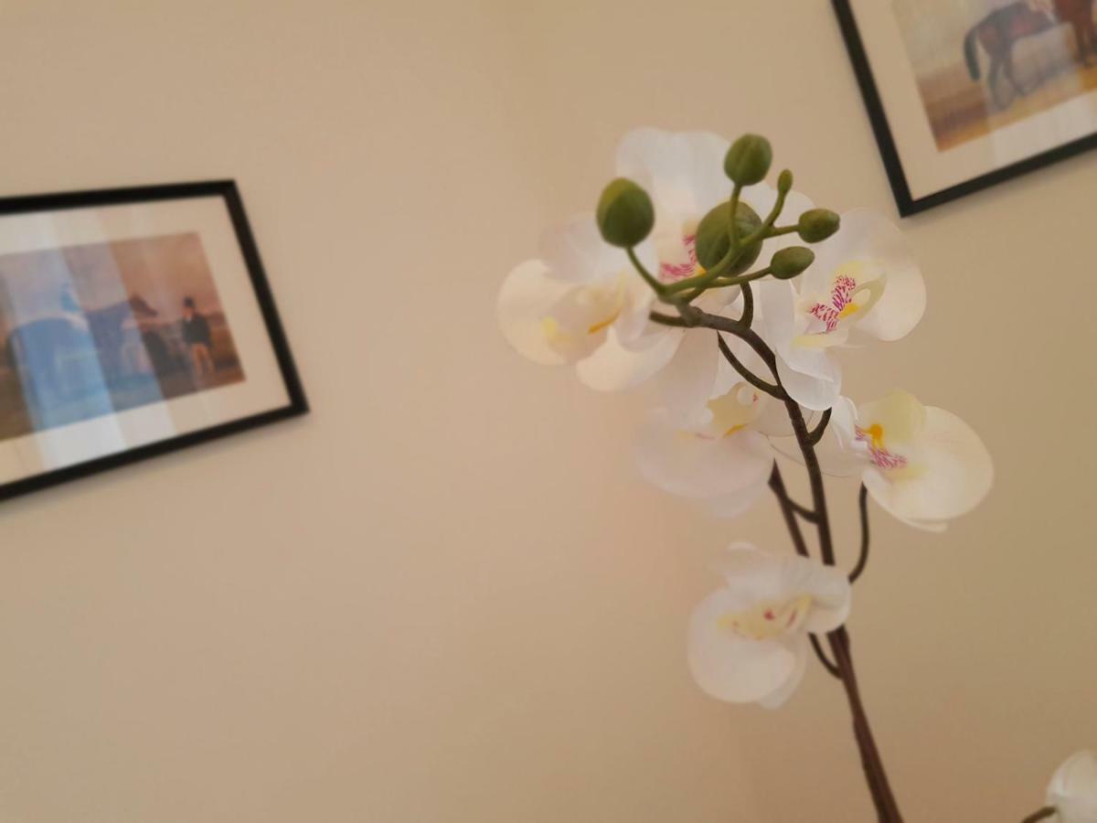 St Paul House Boutique&apartment Appartement